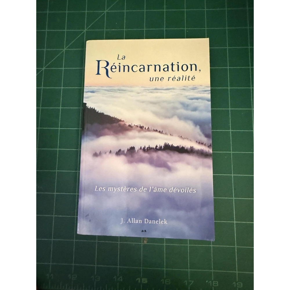 La Réincarnation, Une Réalité Les Mystères De L'Âme J. Allan Danelek Ada Blue PB